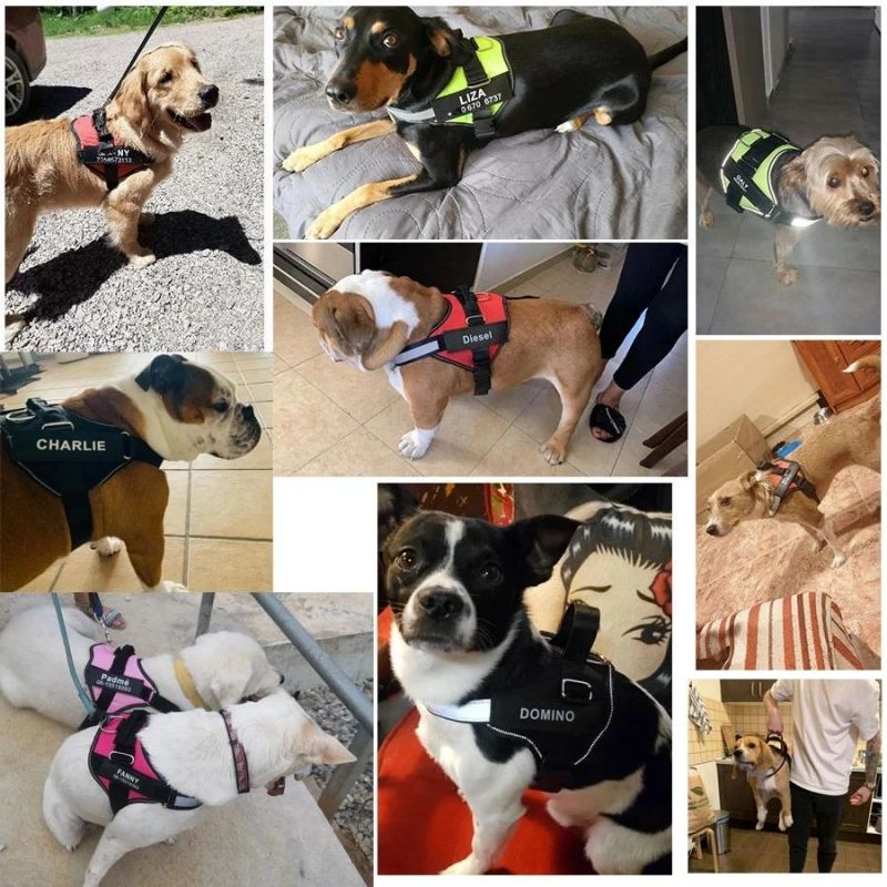 Dog Harness Vest Dog Supplies with Customized Patch