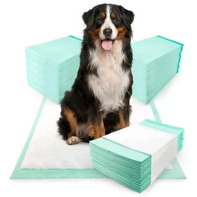 Pet Scat Mat Training Pad Custom Pet Mat Disposable Pet Mat