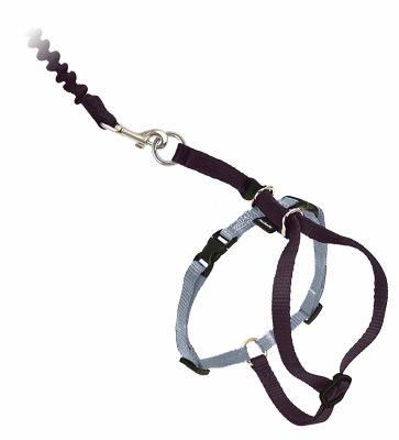 Kitty Harness and Bungee Leash, Harness for Cats