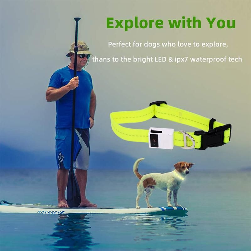 47.2 Inch / 120cm Waterproof LED Webbing, Replaceable Battery, 3 LED Flashing Mode, Soft PVC Pet Leash, Glowing at Night LED Dog Leash