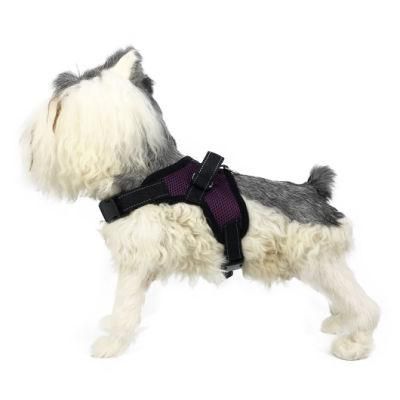Reflective Summer Breathable Wholesale No Pull Dog Harness Pet Products