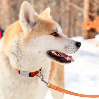 Safety Reflective Nylon Dog Leash for Walking Training