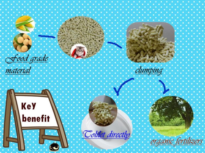 Hard Clump and Odor Control Corn Cat Litter