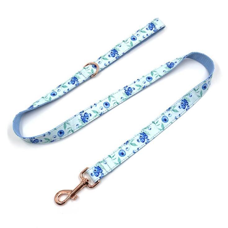 Ins Popular Style Pattern Dog Collar and Leash Set with OEM Branding