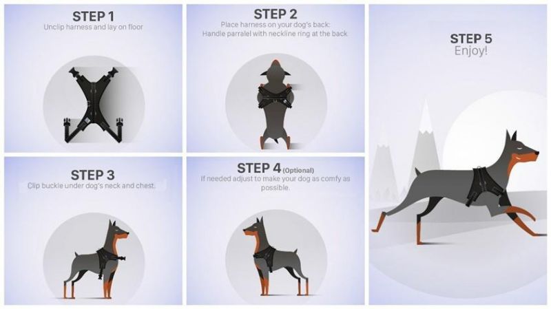 Lightweight, Eco-Friendly, Safe and Secure Walking Harness of Pet Products