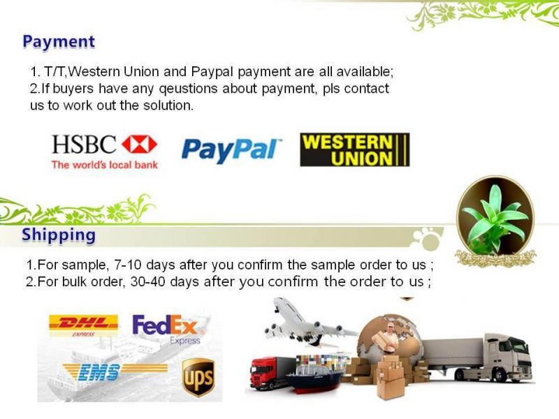 Amazon Permium OEM Sublimation Pet Dog Leash for Walking