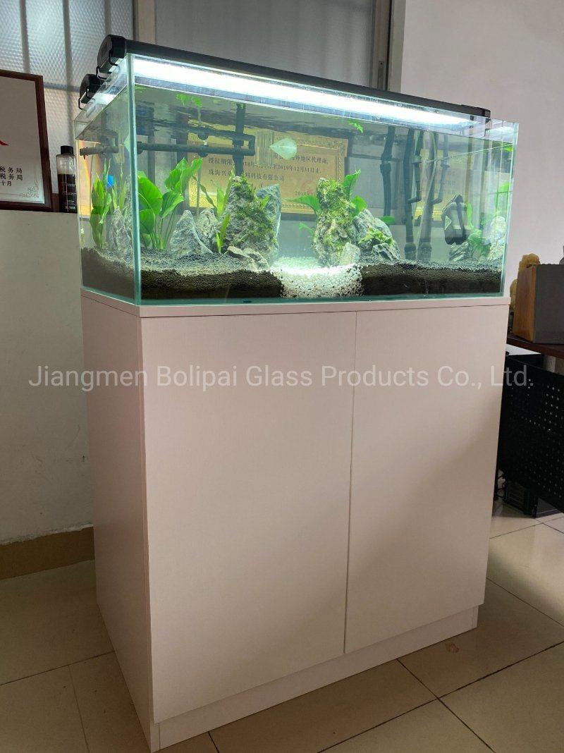 Custom Simplicity Glass Fish Tank Aquarium with Wooden Cabinet