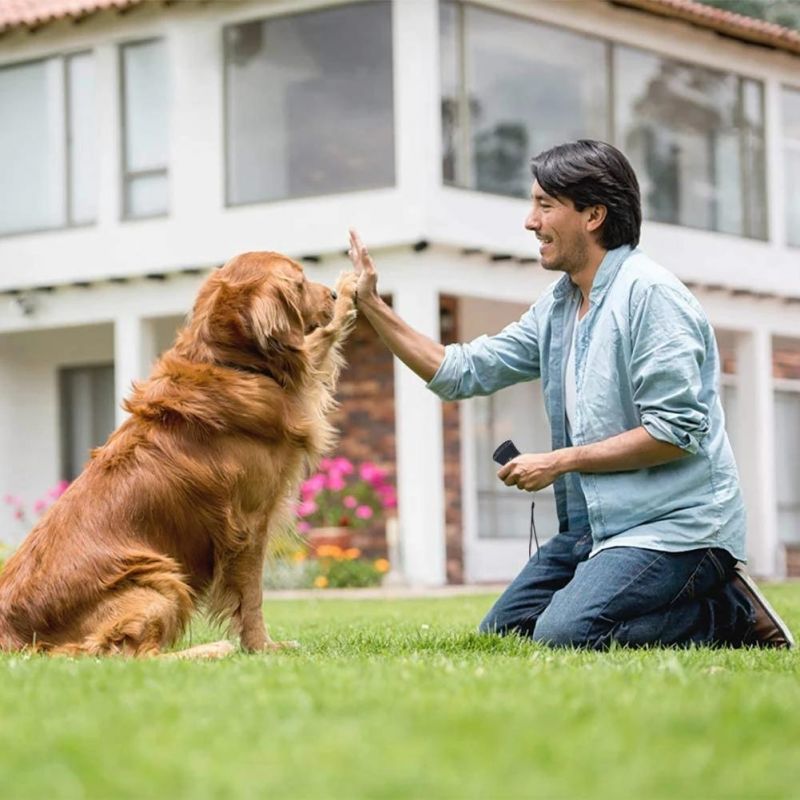 New Ultrasonic Dog Chaser Stop Aggressive Animal Attacks Repeller Flashlight