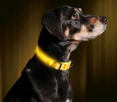 User-Friendly, Comfortable and Fully Adjustable LED Dog Collar