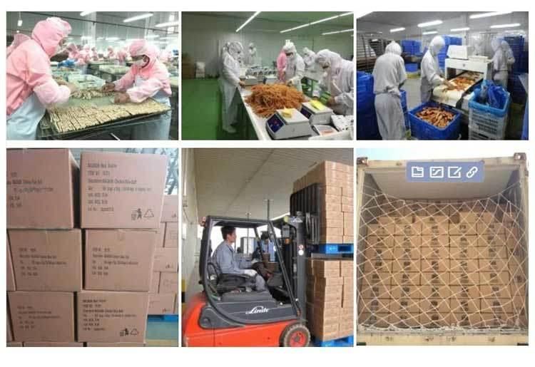 ODM Manufacturer Nutrisource Chicken Flavor Freeze Dried Pet Treats Food Snack