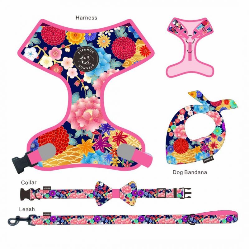 Luxury Accessories for Dogs Cats Nylon Adjustable Buckle Dog Collar and Leash Set