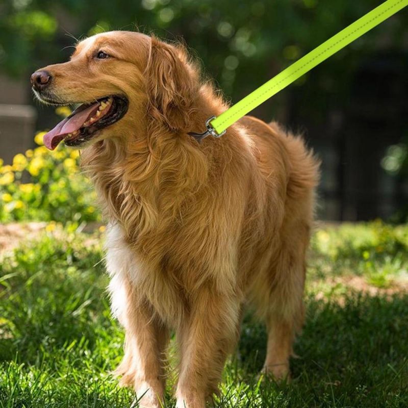 Soft & Comfortable Amazon Hot Sale Adjustable Dog Collar&Leash