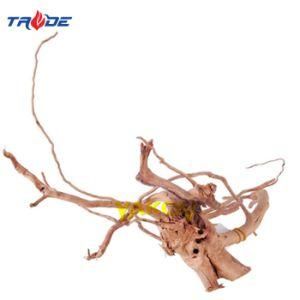 Malaysian Driftwood Spider Wood Azalea Roots