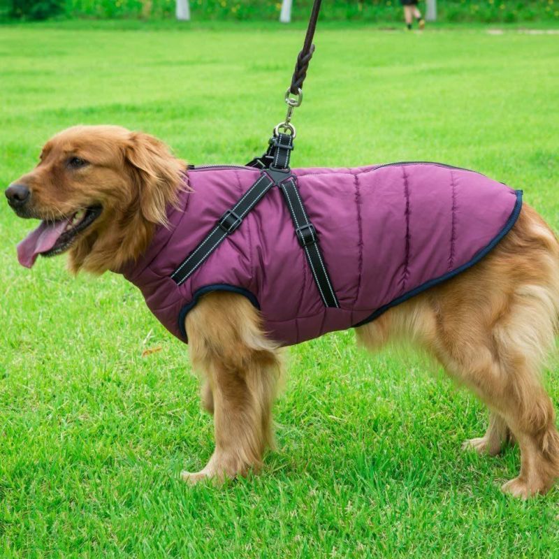Winter Coat for Dogs with Reflective Harness