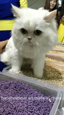 Clumping and Flushable Tofu Cat Litter