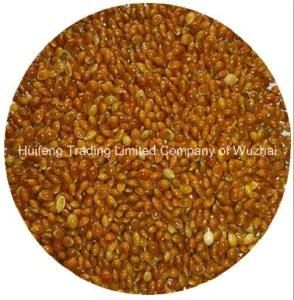 Broom Corn Millet (Red) for Sale