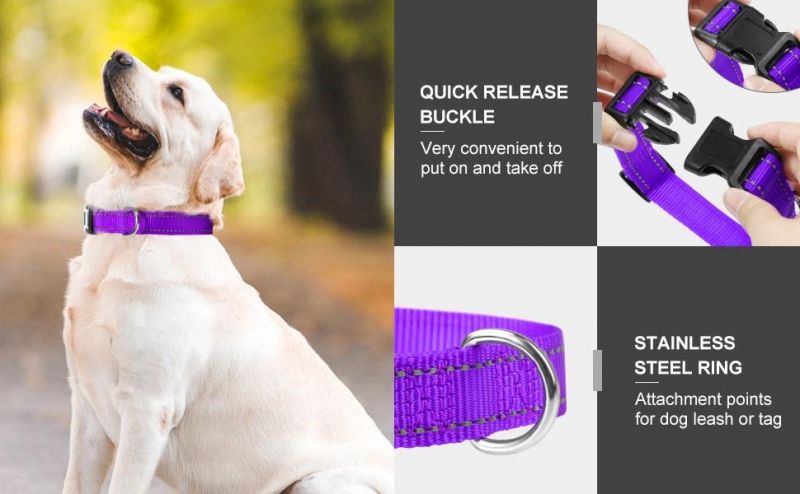 Reflective Nylon Dog Collar with Matching Leash
