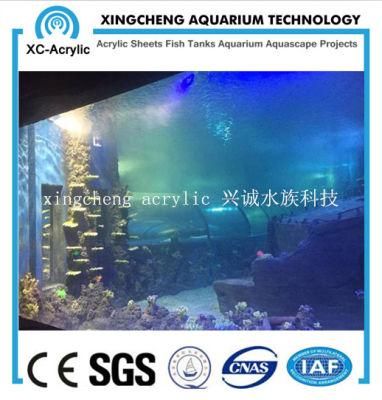 Customized Transparent Acrylic Material Acrylic Seal Tank Project Price