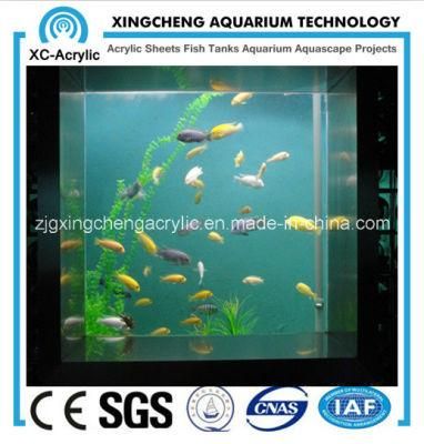 The Square Aquarium