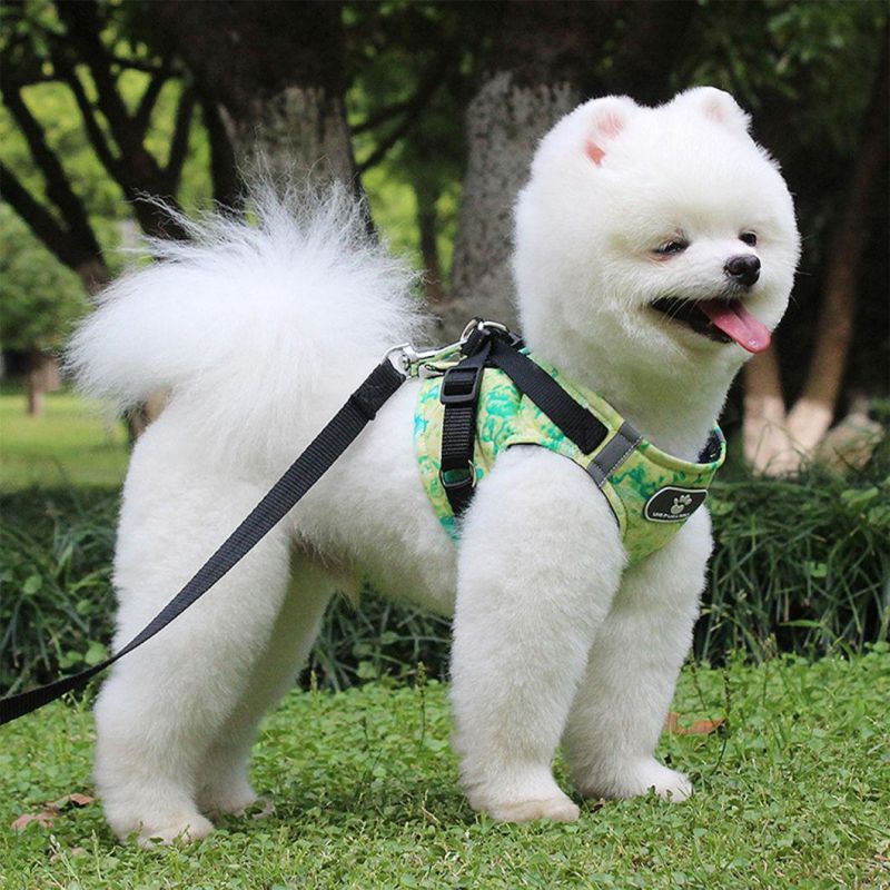 Beautiful Ocean Reduce Pressure Pet Harness with Leash for Dog Cat
