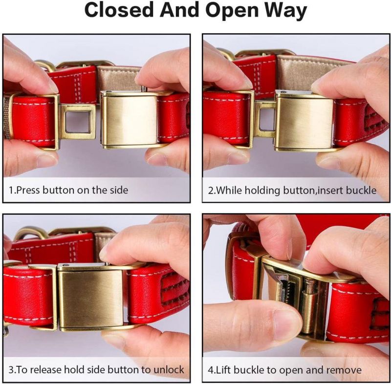 Adjustable Classic Luxury Padded Leather Dog Collar