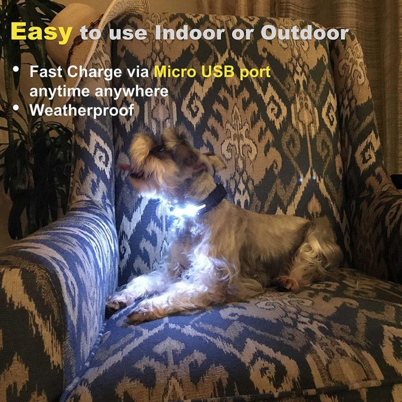 Wholesale Nylon LED Flashing Safety Dog Collar Light Pet Collar