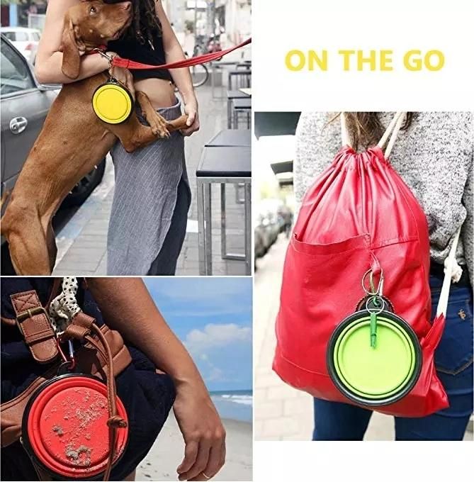 Silicone Collapsible Pet Dog Bowl with Carabiner Clip for Travel