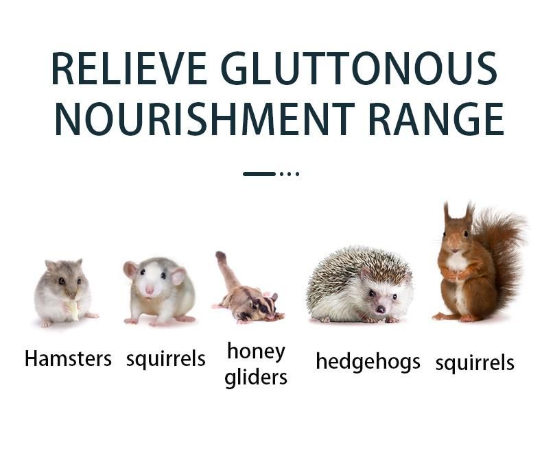 Yee New Pet Food High-Protein Beauty Hairy Grains Self-Prepared Hamster Rabbit Guinea Pig Chinchilla Nutritious Snack Food