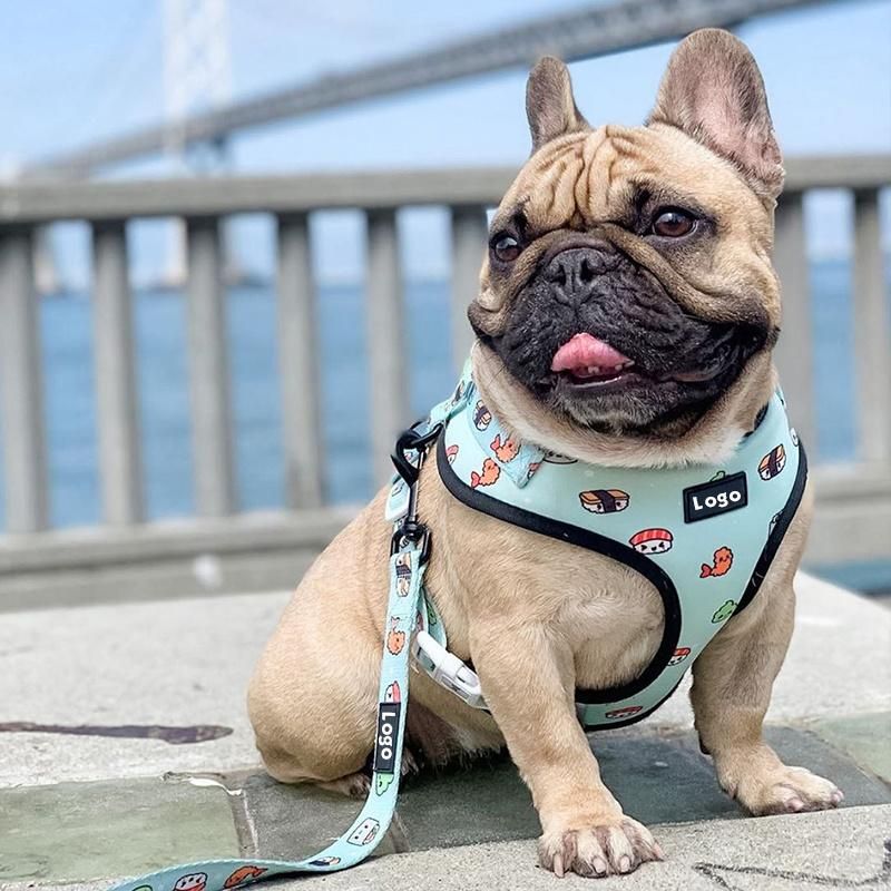 Wholesale Custom Logo All Kinds of Full Sets Breathable Mesh Pet Dog Harness