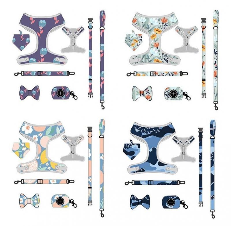 Customized All Kinds of Harness Design Pattern Dog Harness