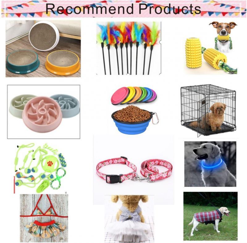 Factory Wholesales Supplies Dog Nylon Reflective Cord Reflective Dog Leash