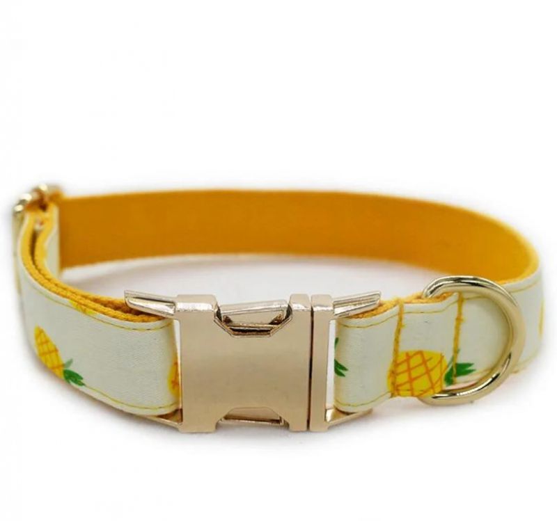 Summer Style Pineapple Dog Collar
