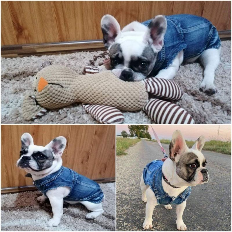 Classic Small Medium Pet Puppy Clothes Dog Denim Vest Pet Jeans Fashion Pet Apparel