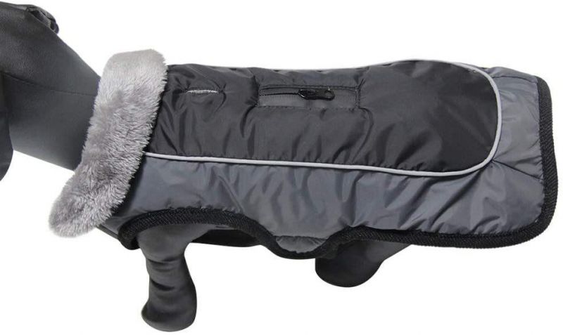 Fleece Collar Dog Coats for Small Dogs