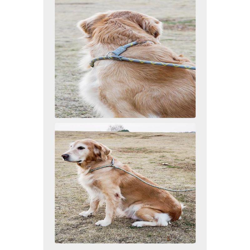 2022 Custom Strong Rope Dog Leash Durable Climbing Slip Handle Pet Rope Dog Leash Nylon Pet Lead for Dog
