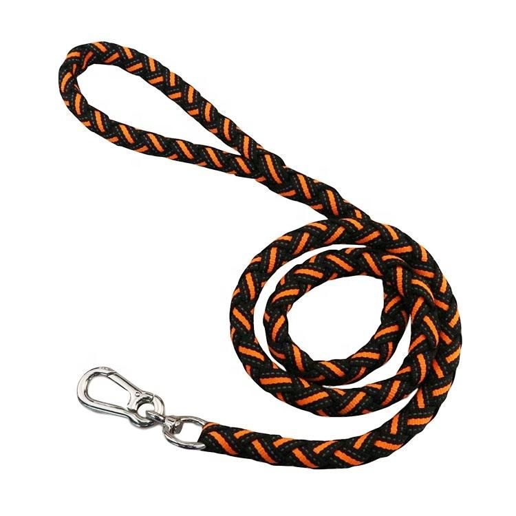 2022 New Design Polyester Fashion Braided Pet Dog Leashes