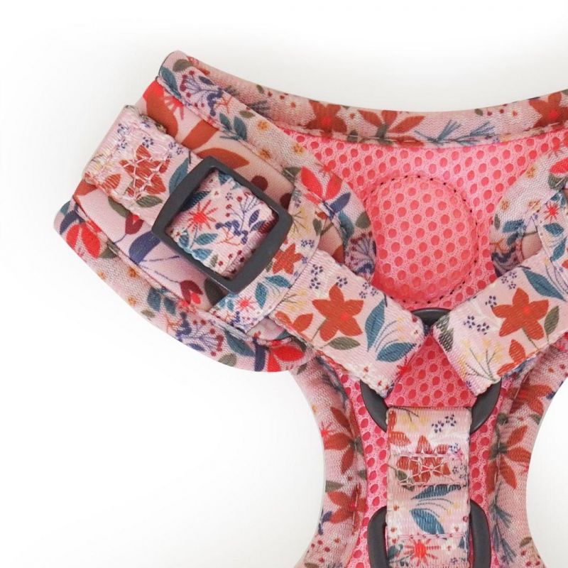 Free Samples Pet Harness Custom Design Wholesale Neoprene Adjustable Dog Harness Set