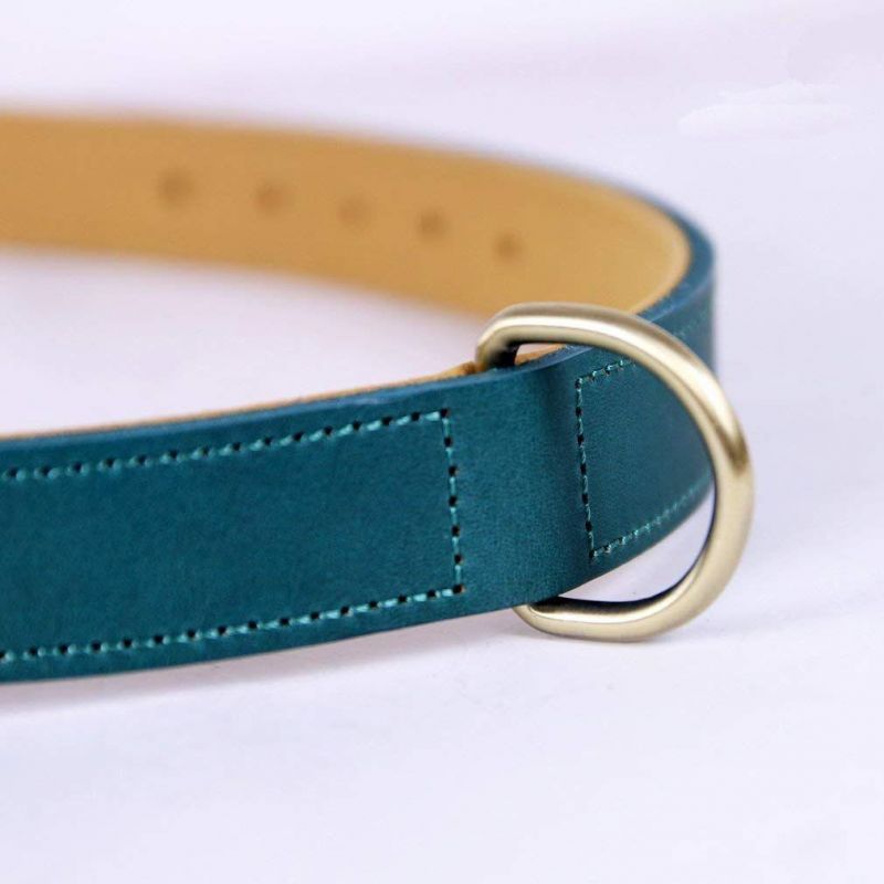 Full-Grain Leather Padded Dog Collar with The High-Quality