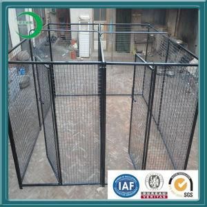 Bulk Sale Metal Medium Dog Cages for Sale (xy-P13)