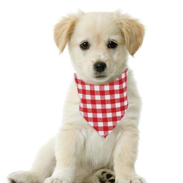 High Quality Cute Cool Soft Breathable Sublimated Customized Extra Large Triangle Dog Bandana with Collar Matching Pet Owner