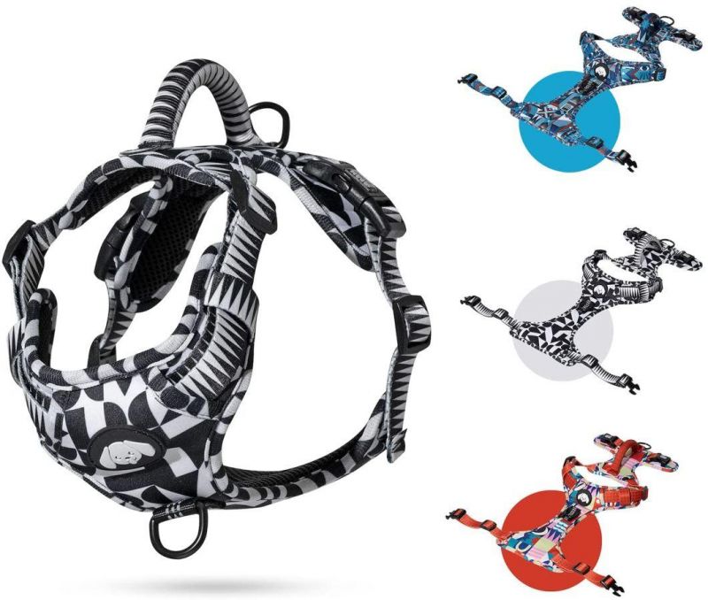 Dog Collar and Leash Set, Adjustable Reflective Breathable Oxford Harness Pet Supplier Accessories