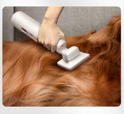 Personal Use Wireless Pet Hair Cleaning Machine