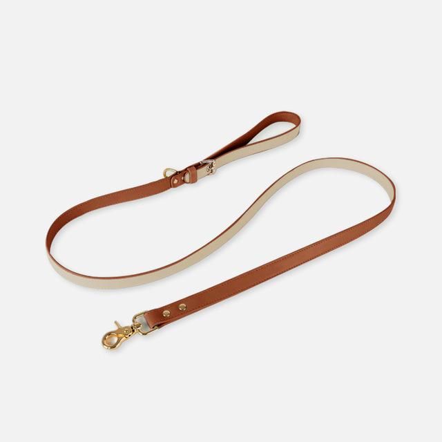 Hot Sale Luxury All Seasons High Quality Leather Eco-Friendly Fashion Pet Dog Leashes