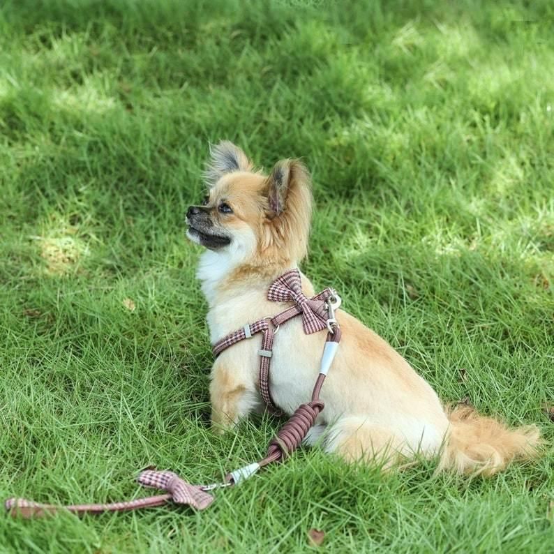 Nylon Material Printing OEM Factory Traingle Dog Harness, Leash, Bowtie