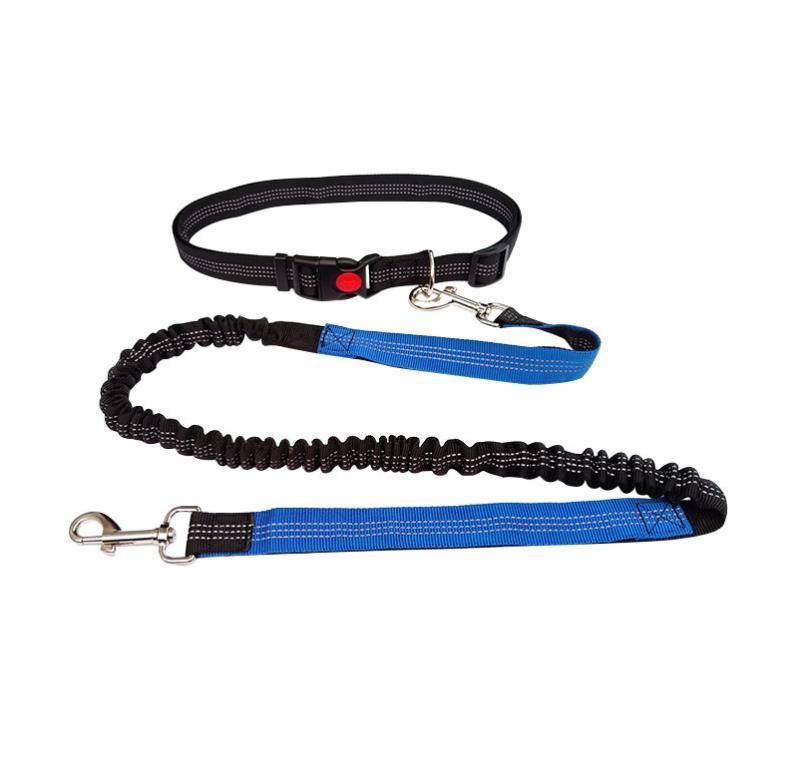 Hands Free Dog Leash for Running, Walking, Hiking, Durable Dual-Handle Bungee Leash, Reflective Stitching