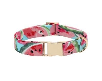 Wide Nylon Webbing Collars Top Quality New Arrival Custom Colored Dog Collar