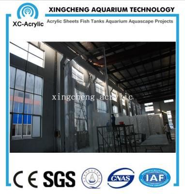 Aquaria Acrylic Window Wall Project Price