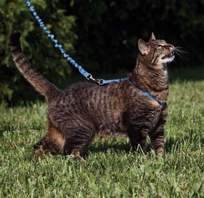 Cat Harnesses Bungee Figure 8 Style Cat Leashes Playing Outside