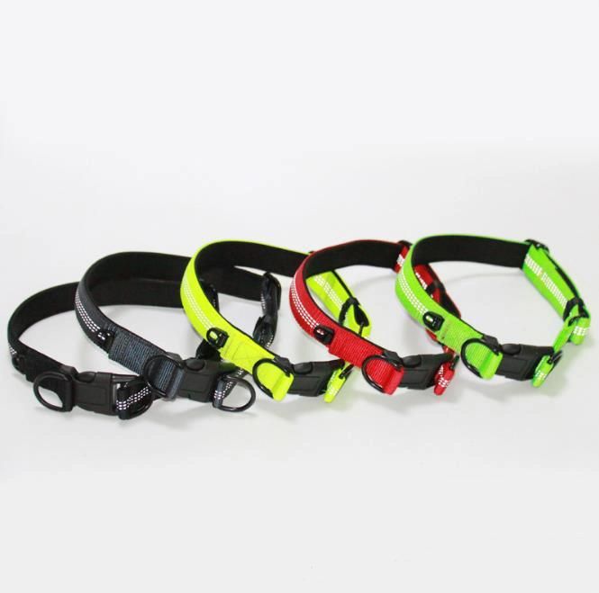 Night Reflective Double D-Ring Plastic Buckle Durable Nylon Dog Collar