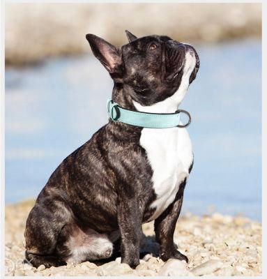 Reflective Collar and Leash for Pet Dog